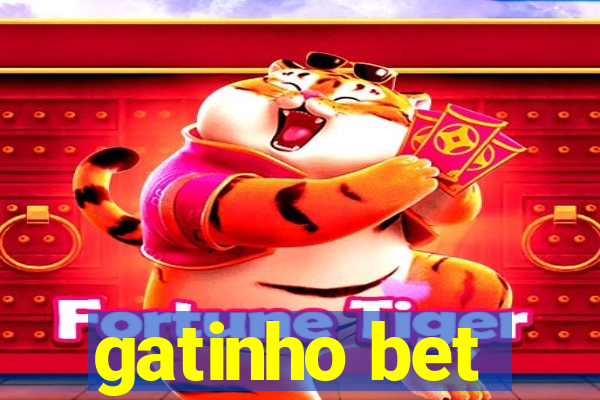 gatinho bet